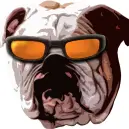  BigDog 